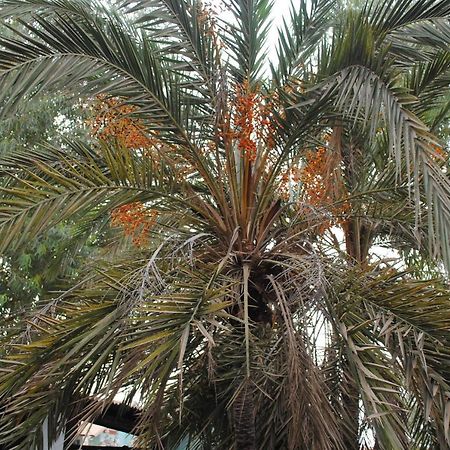 Rainbow Beach Resort Sanyang Exterior foto